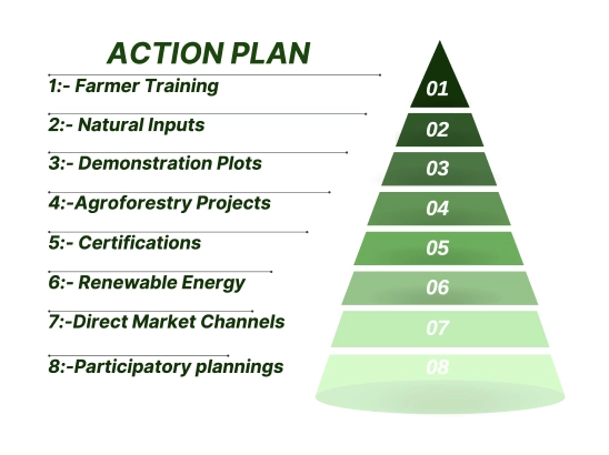 Action Plan