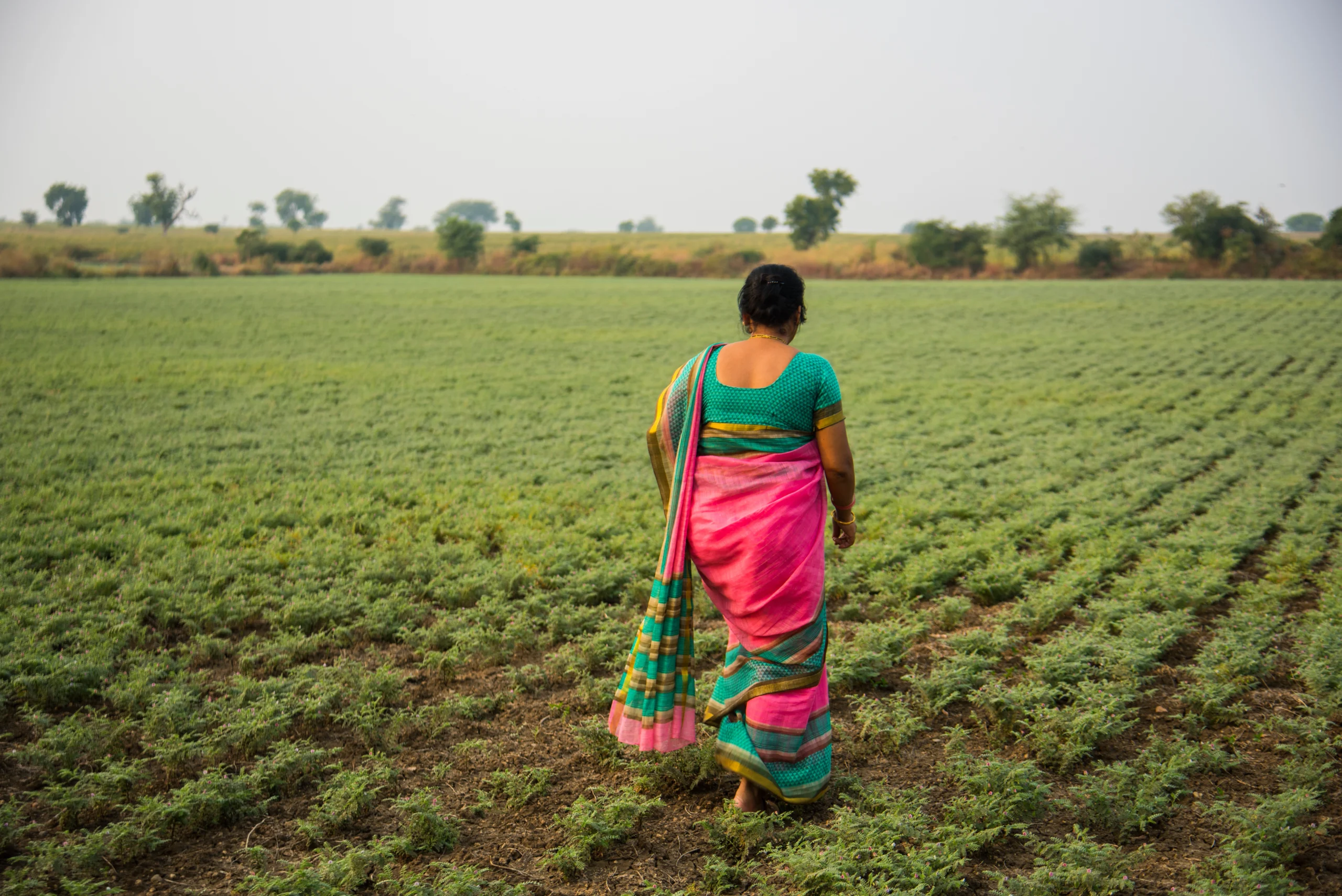 Farmer First Story
