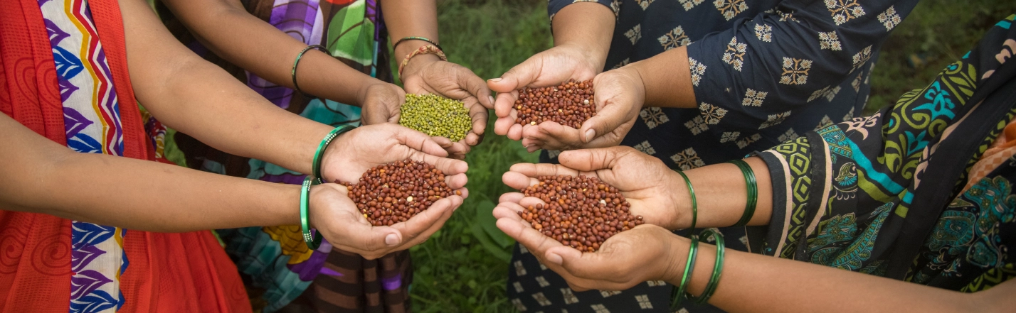 Cereals and Pulses