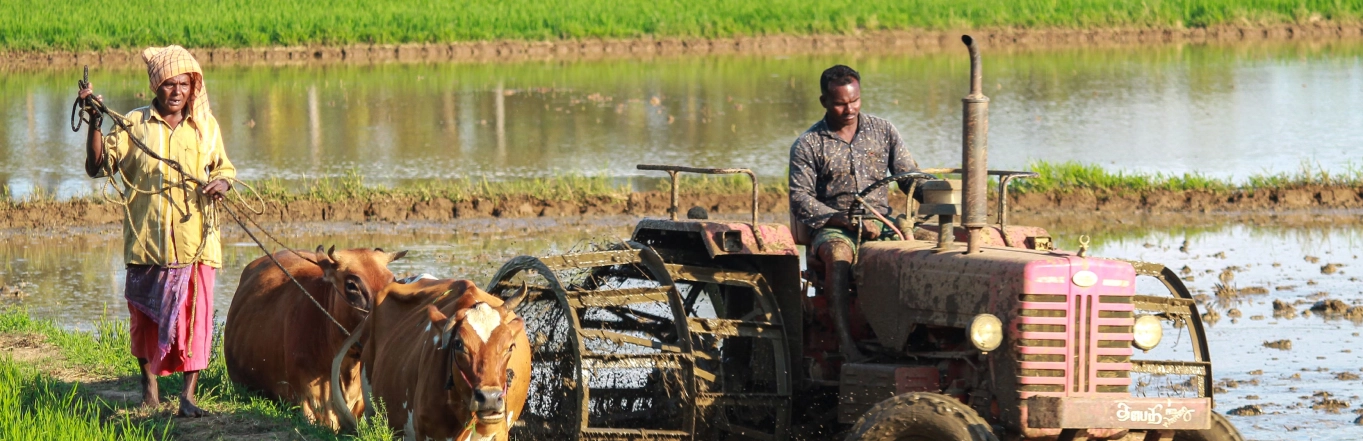 REGENERATIVE AGRICULTURE