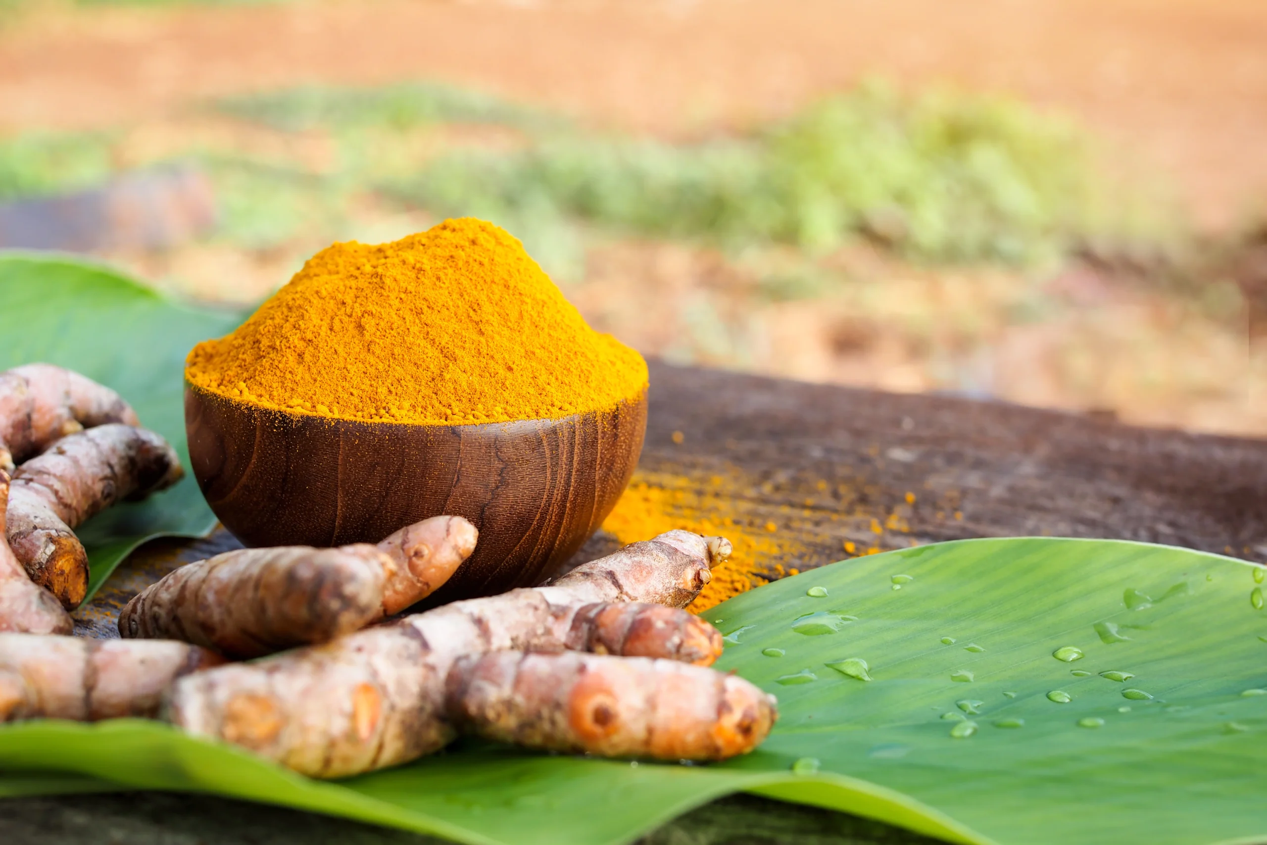 turmeric-banner