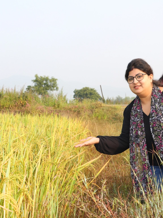 why-sustainable-rice